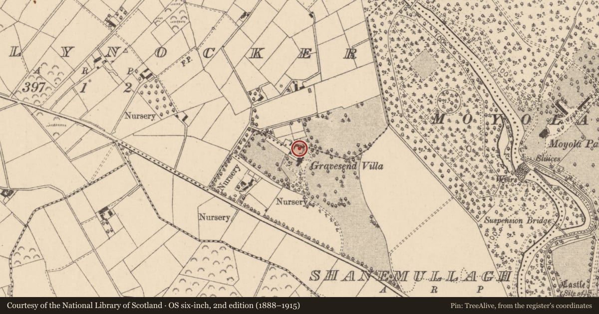 Ordnance Survey six-inch map, 2nd edition (1888–1915) covering the location of Curran Bridge, Mid Ulster, with a pin at the register's coordinates