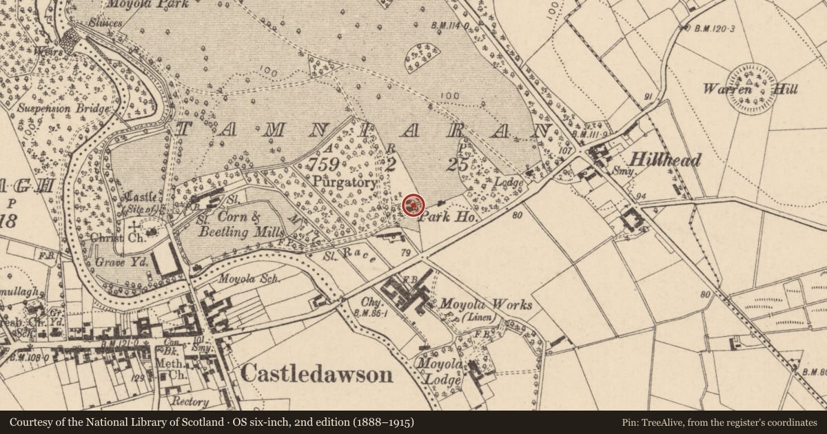 Ordnance Survey six-inch map, 2nd edition (1888–1915) covering the location of Park House, Mid Ulster, with a pin at the register's coordinates