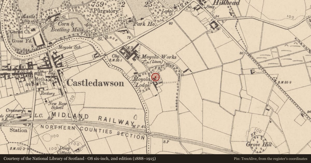 Ordnance Survey six-inch map, 2nd edition (1888–1915) covering the location of Moyola Lodge, Mid Ulster, with a pin at the register's coordinates