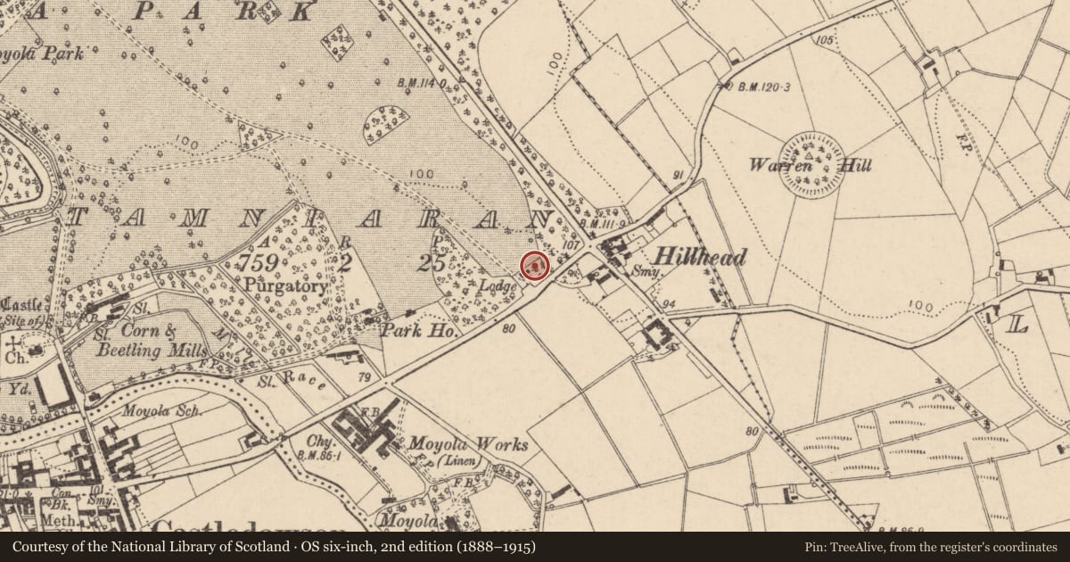Ordnance Survey six-inch map, 2nd edition (1888–1915) covering the location of Lodge Of Moyola Park, Mid Ulster, with a pin at the register's coordinates