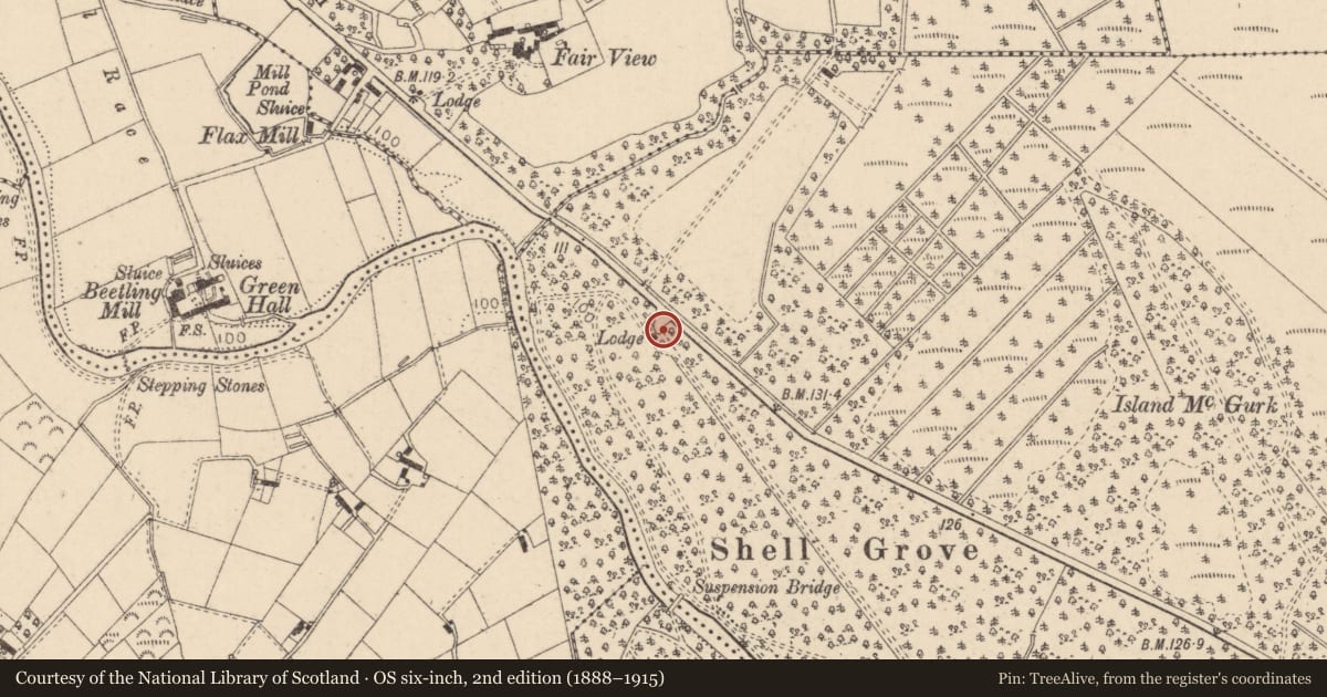 Ordnance Survey six-inch map, 2nd edition (1888–1915) covering the location of SHILGROVE, Mid Ulster, with a pin at the register's coordinates