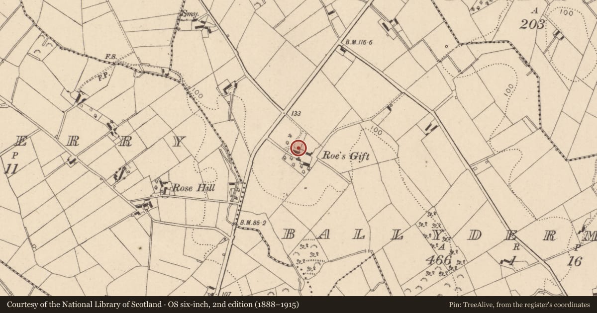 Ordnance Survey six-inch map, 2nd edition (1888–1915) covering the location of Rowe'S Gift, Mid Ulster, with a pin at the register's coordinates