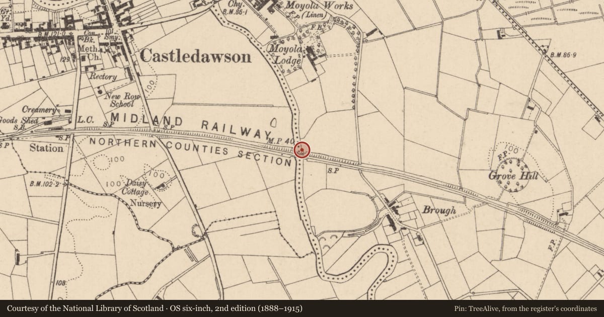 Ordnance Survey six-inch map, 2nd edition (1888–1915) covering the location of Railway Bridge (Over The River Moyola), Mid Ulster, with a pin at the register's coordinates