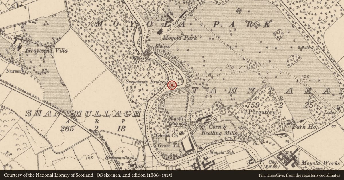 Ordnance Survey six-inch map, 2nd edition (1888–1915) covering the location of Dredge Bridge, Mid Ulster, with a pin at the register's coordinates