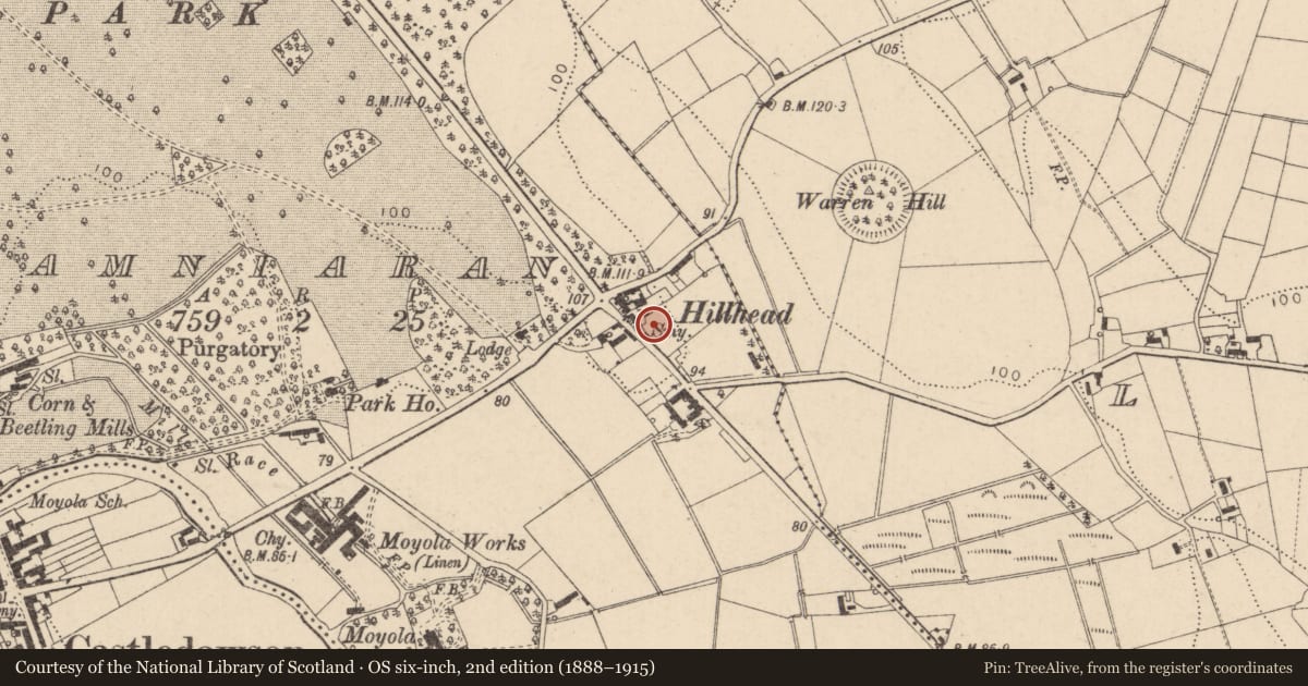 Ordnance Survey six-inch map, 2nd edition (1888–1915) covering the location of Forge, Tamniaran, Mid Ulster, with a pin at the register's coordinates