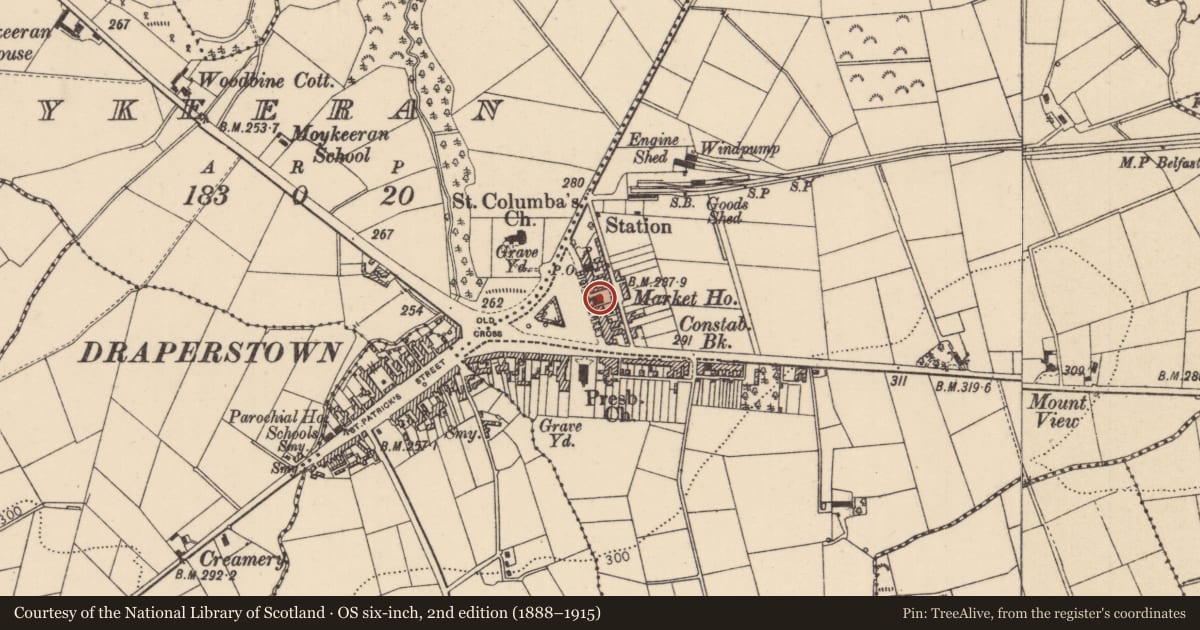 Ordnance Survey six-inch map, 2nd edition (1888–1915) covering the location of Court House, Mid Ulster, with a pin at the register's coordinates