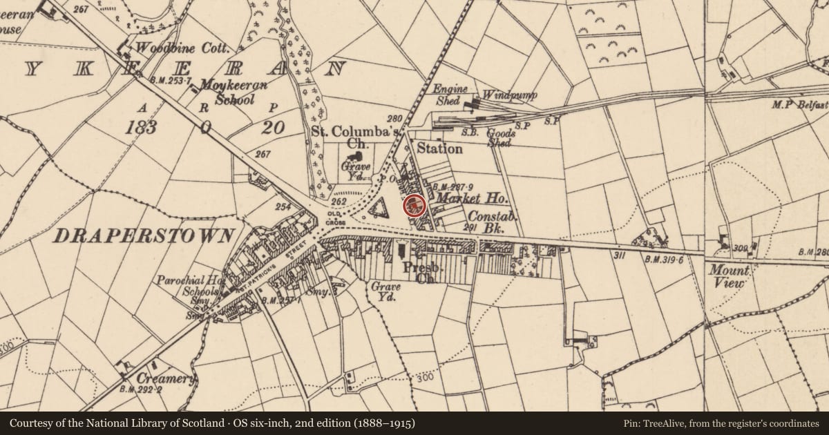 Ordnance Survey six-inch map, 2nd edition (1888–1915) covering the location of 22 High St., Mid Ulster, with a pin at the register's coordinates