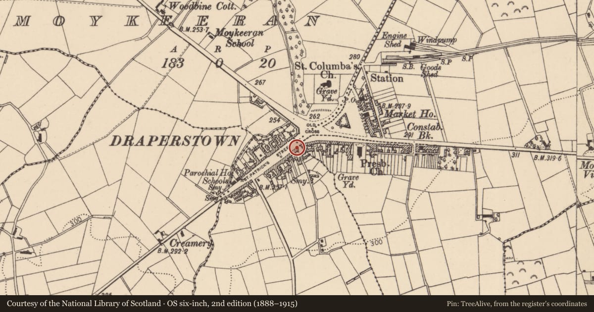 Ordnance Survey six-inch map, 2nd edition (1888–1915) covering the location of Fountain outside, Cahore, Mid Ulster, with a pin at the register's coordinates
