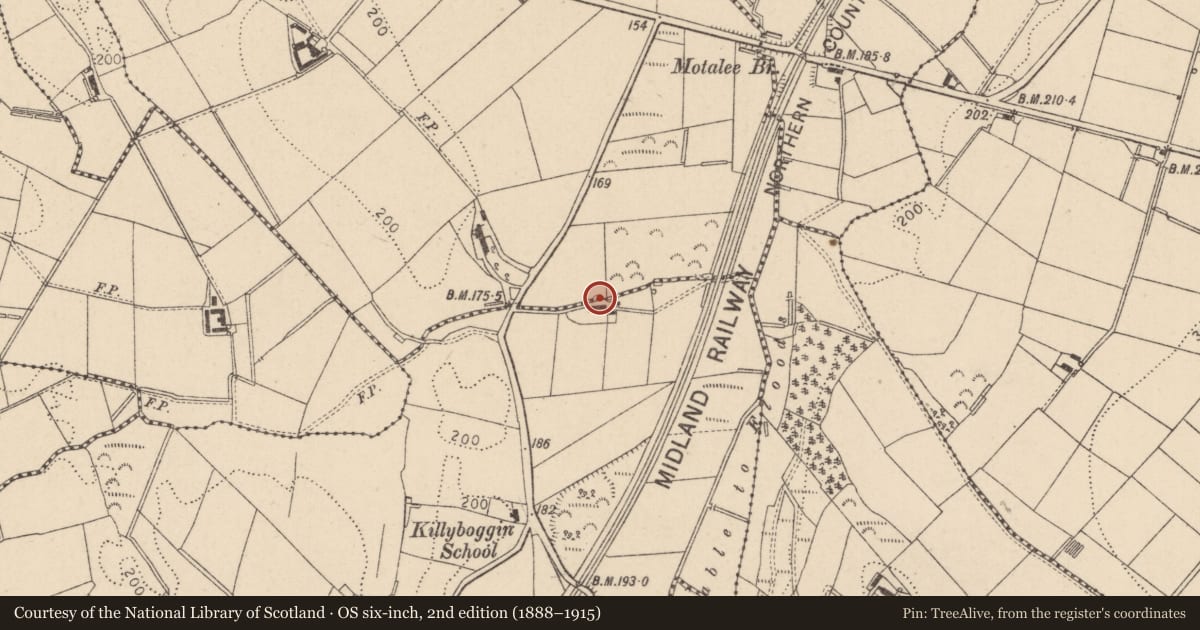 Ordnance Survey six-inch map, 2nd edition (1888–1915) covering the location of 4 Killyboggin Road, Mid Ulster, with a pin at the register's coordinates