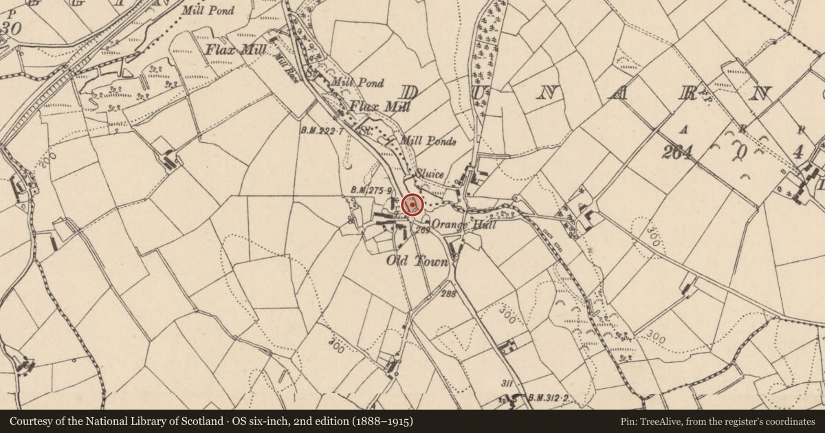 Ordnance Survey six-inch map, 2nd edition (1888–1915) covering the location of Telephone Kiosk opp. 40 Megargy Road, Magherafelt, BT45 5HP, Mid Ulster, with a pin at the register's coordinates