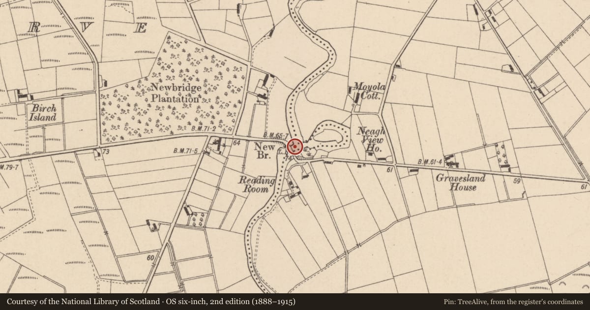 Ordnance Survey six-inch map, 2nd edition (1888–1915) covering the location of New Bridge, Mid Ulster, with a pin at the register's coordinates