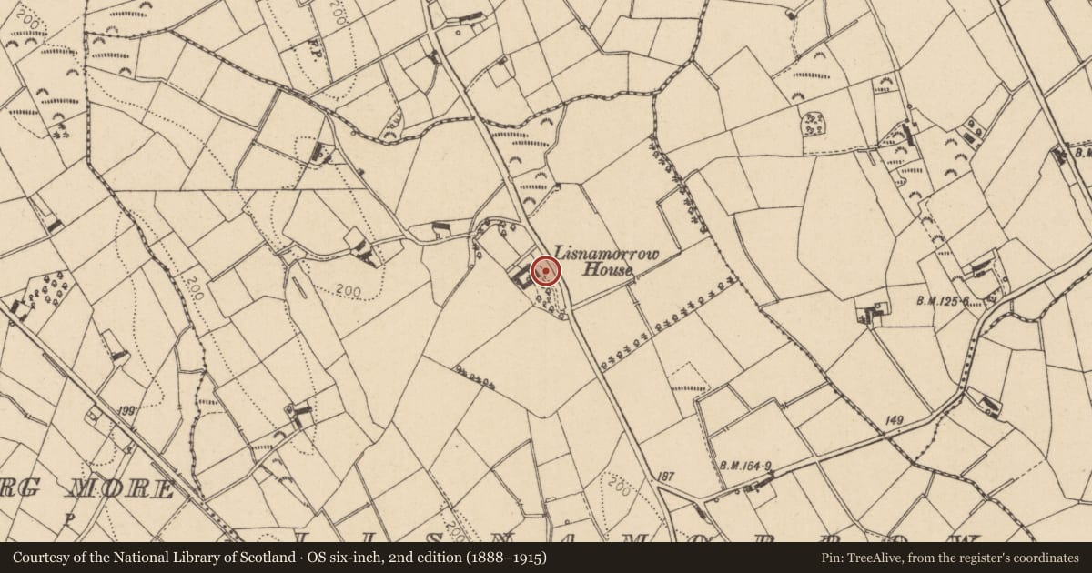 Ordnance Survey six-inch map, 2nd edition (1888–1915) covering the location of Lisnamorrow House, Mid Ulster, with a pin at the register's coordinates