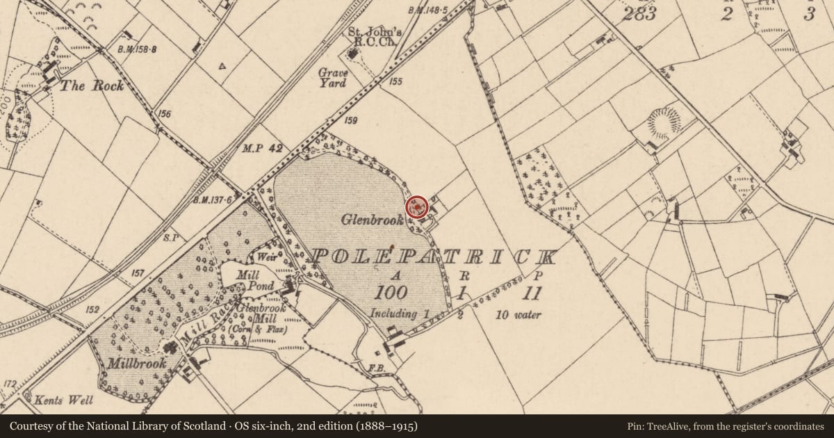 Ordnance Survey six-inch map, 2nd edition (1888–1915) covering the location of Glenbrook House, Mid Ulster, with a pin at the register's coordinates
