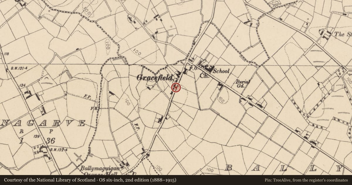 Ordnance Survey six-inch map, 2nd edition (1888–1915) covering the location of ?22a Gracefield Road, Ballymaguigan, Mid Ulster, with a pin at the register's coordinates