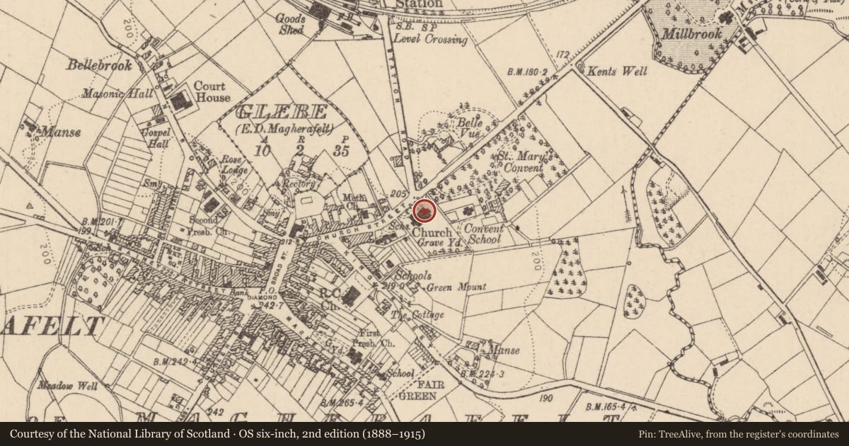 Ordnance Survey six-inch map, 2nd edition (1888–1915) covering the location of St. Swithins Church, Mid Ulster, with a pin at the register's coordinates