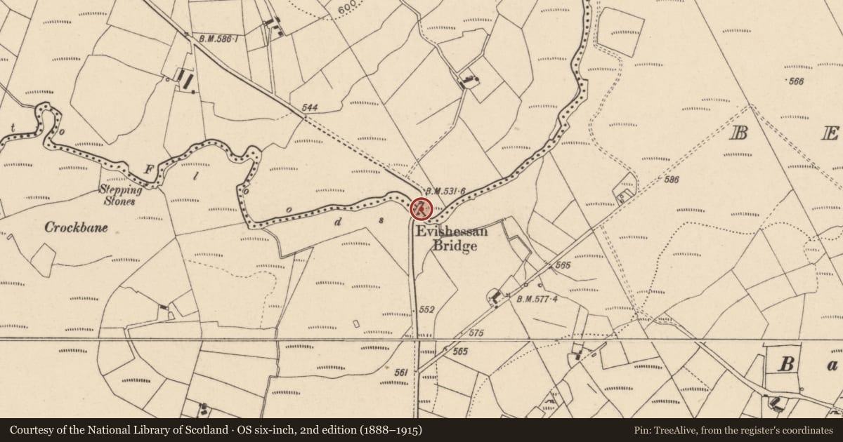 Ordnance Survey six-inch map, 2nd edition (1888–1915) covering the location of Evishessan Bridge, Evishessan/Beagh More, Mid Ulster, with a pin at the register's coordinates
