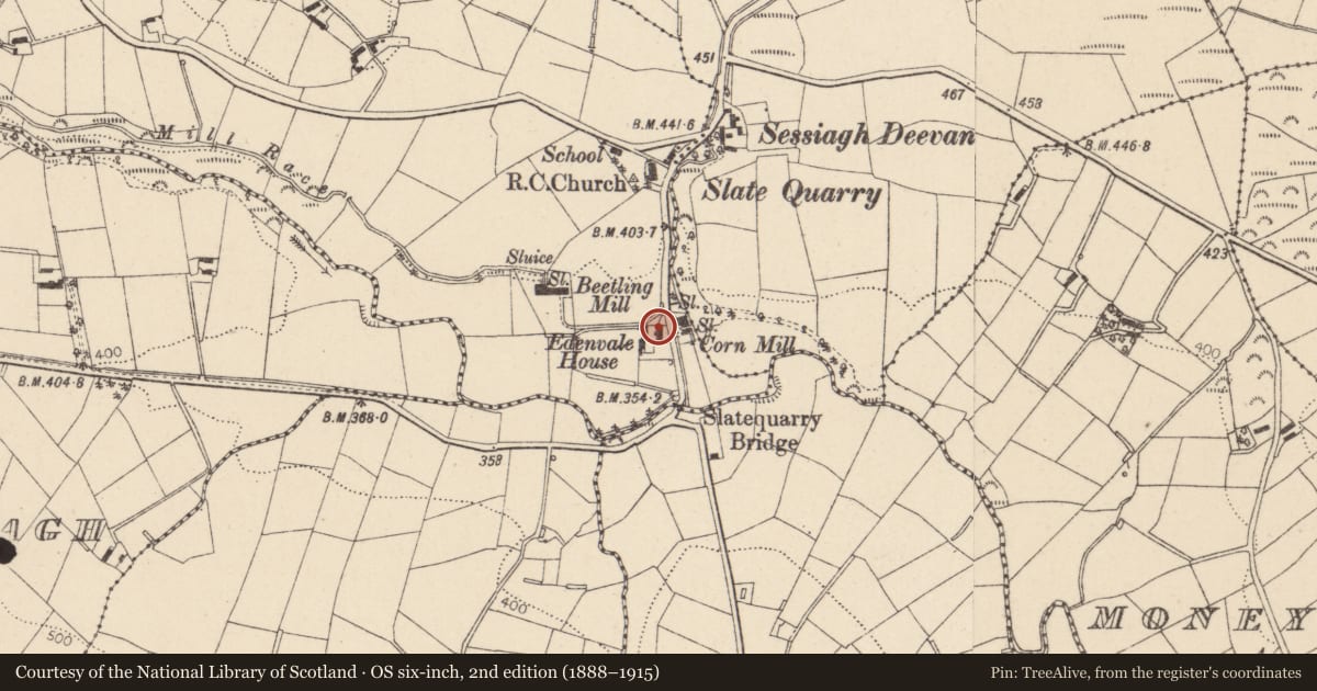 Ordnance Survey six-inch map, 2nd edition (1888–1915) covering the location of Edenvale House, Edendoit, Mid Ulster, with a pin at the register's coordinates