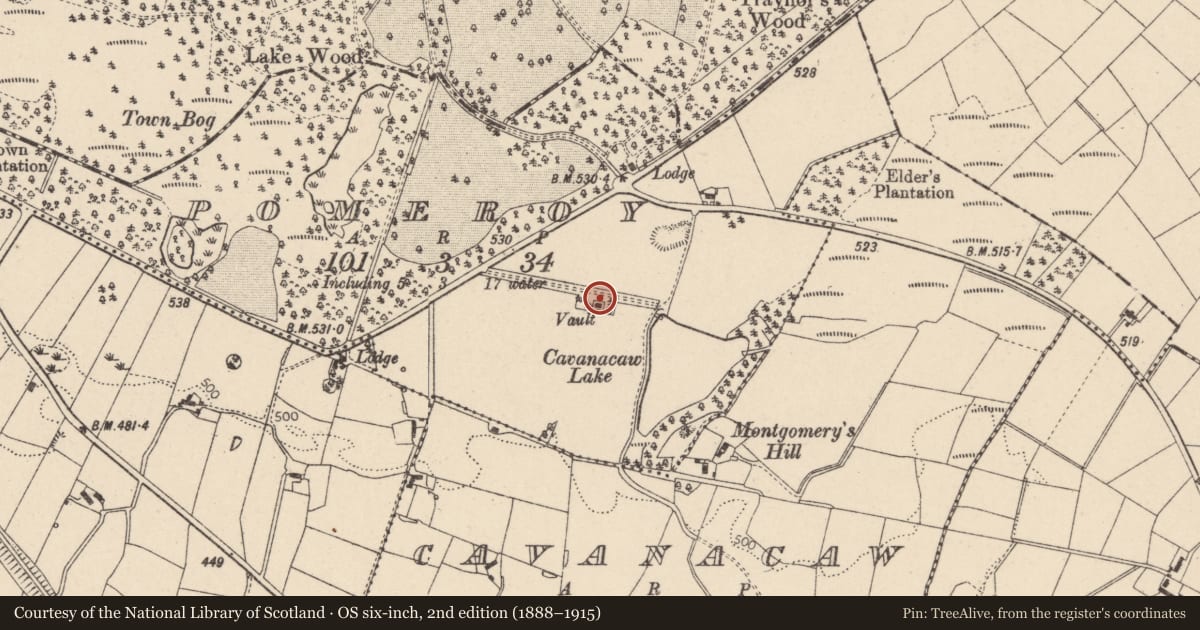 Ordnance Survey six-inch map, 2nd edition (1888–1915) covering the location of Alexander Vault, Cavanacaw, Mid Ulster, with a pin at the register's coordinates