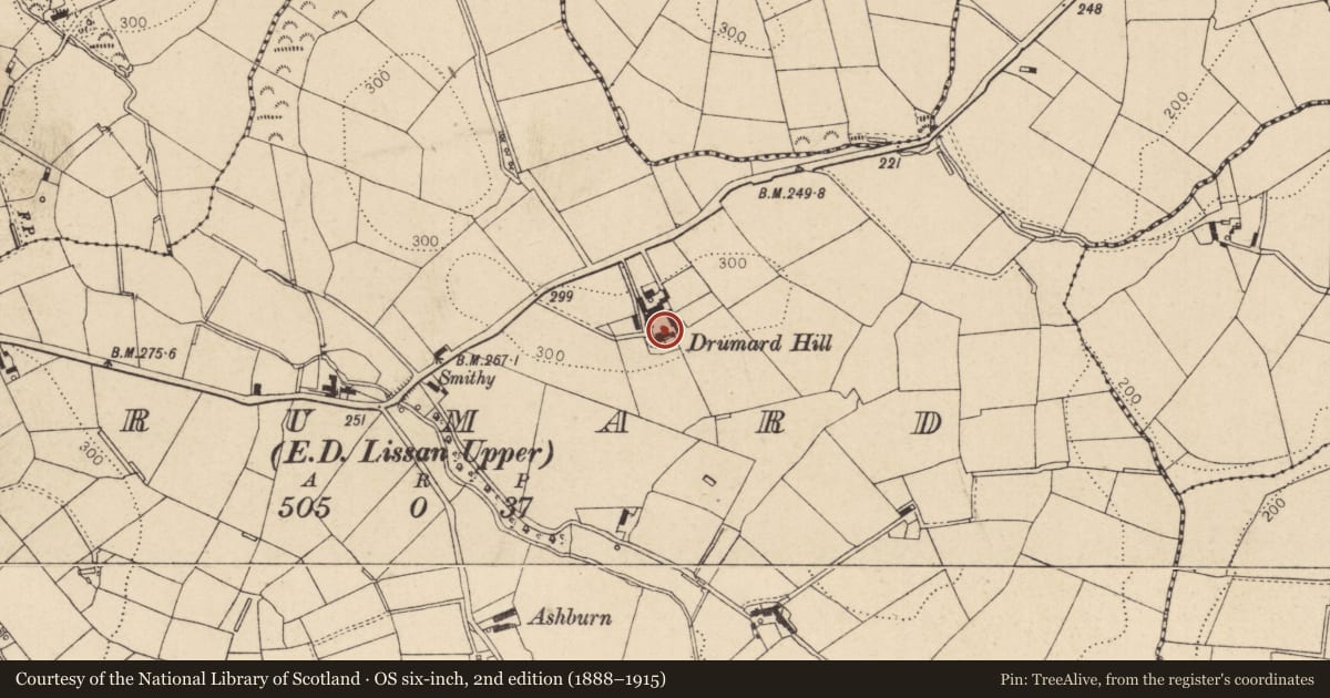 Ordnance Survey six-inch map, 2nd edition (1888–1915) covering the location of Drumard Hill, Mid Ulster, with a pin at the register's coordinates