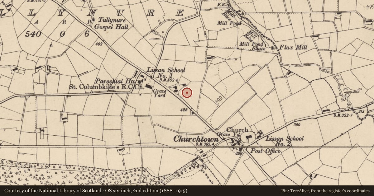Ordnance Survey six-inch map, 2nd edition (1888–1915) covering the location of St Michael's Roman Catholic Church, Tullynure, Mid Ulster, with a pin at the register's coordinates