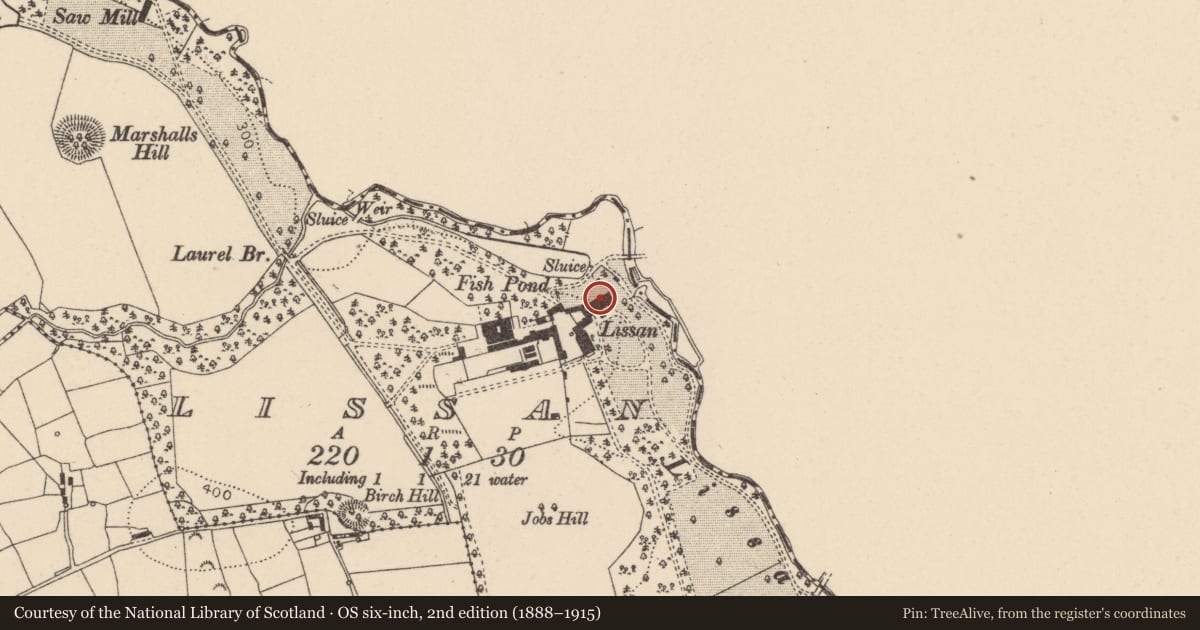 Ordnance Survey six-inch map, 2nd edition (1888–1915) covering the location of Lissan House, Mid Ulster, with a pin at the register's coordinates