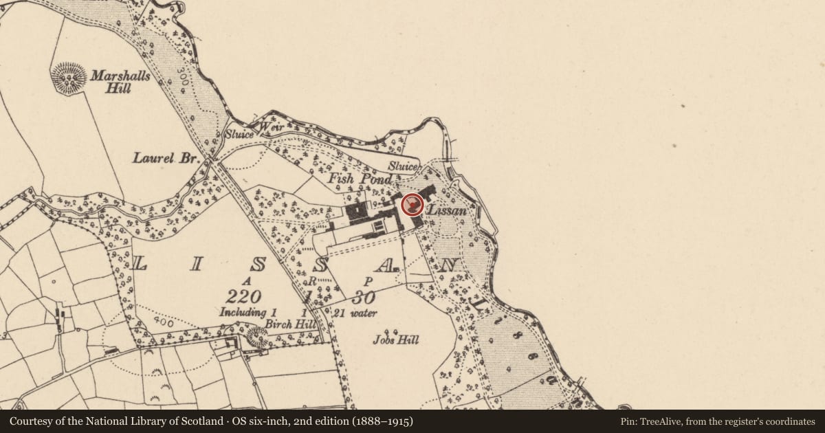Ordnance Survey six-inch map, 2nd edition (1888–1915) covering the location of Outbuildings, Lissan, Mid Ulster, with a pin at the register's coordinates