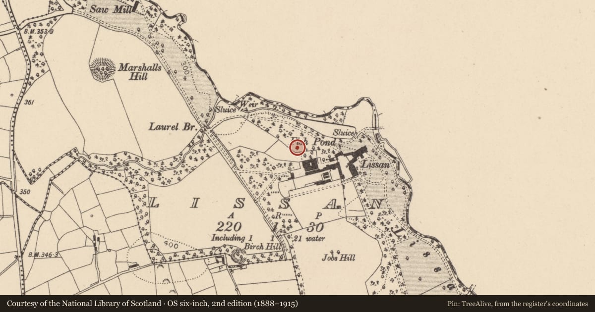 Ordnance Survey six-inch map, 2nd edition (1888–1915) covering the location of Ice House, Lissan, Mid Ulster, with a pin at the register's coordinates