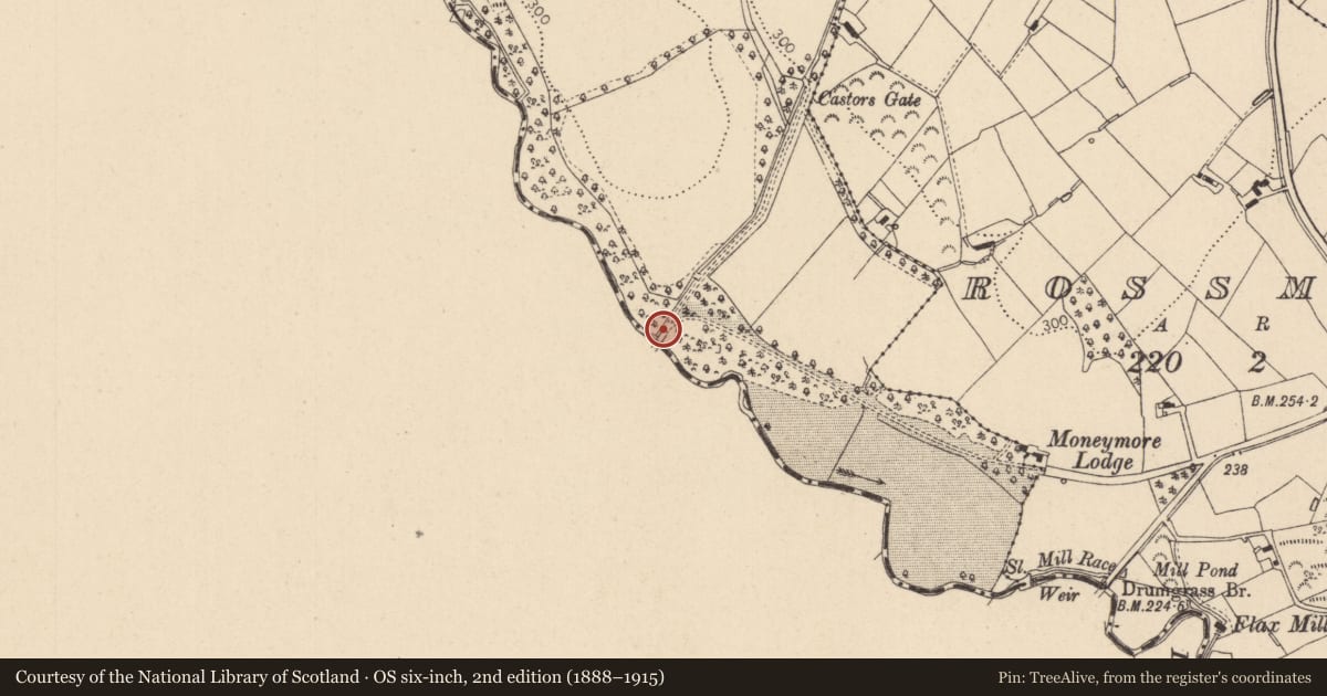 Ordnance Survey six-inch map, 2nd edition (1888–1915) covering the location of Harry's Bridge, Lissan Demesne, Mid Ulster, with a pin at the register's coordinates