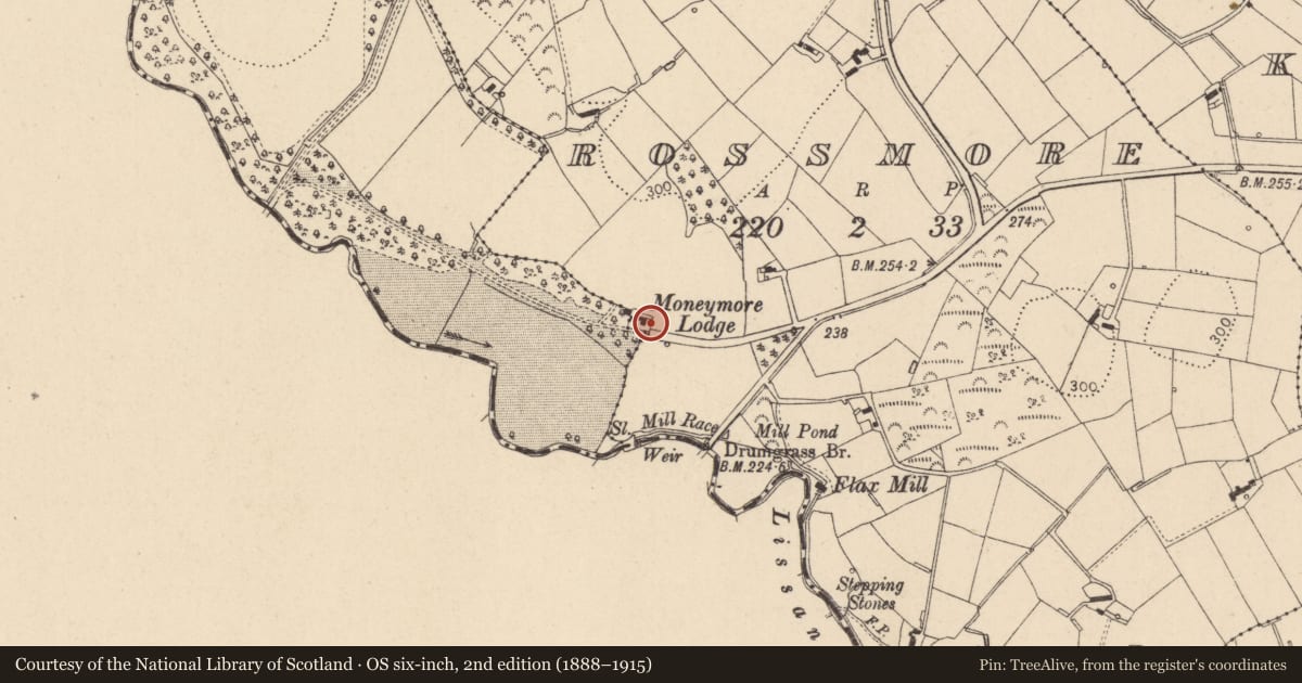Ordnance Survey six-inch map, 2nd edition (1888–1915) covering the location of Rossmore Gates & Lodge, Lissan, Mid Ulster, with a pin at the register's coordinates