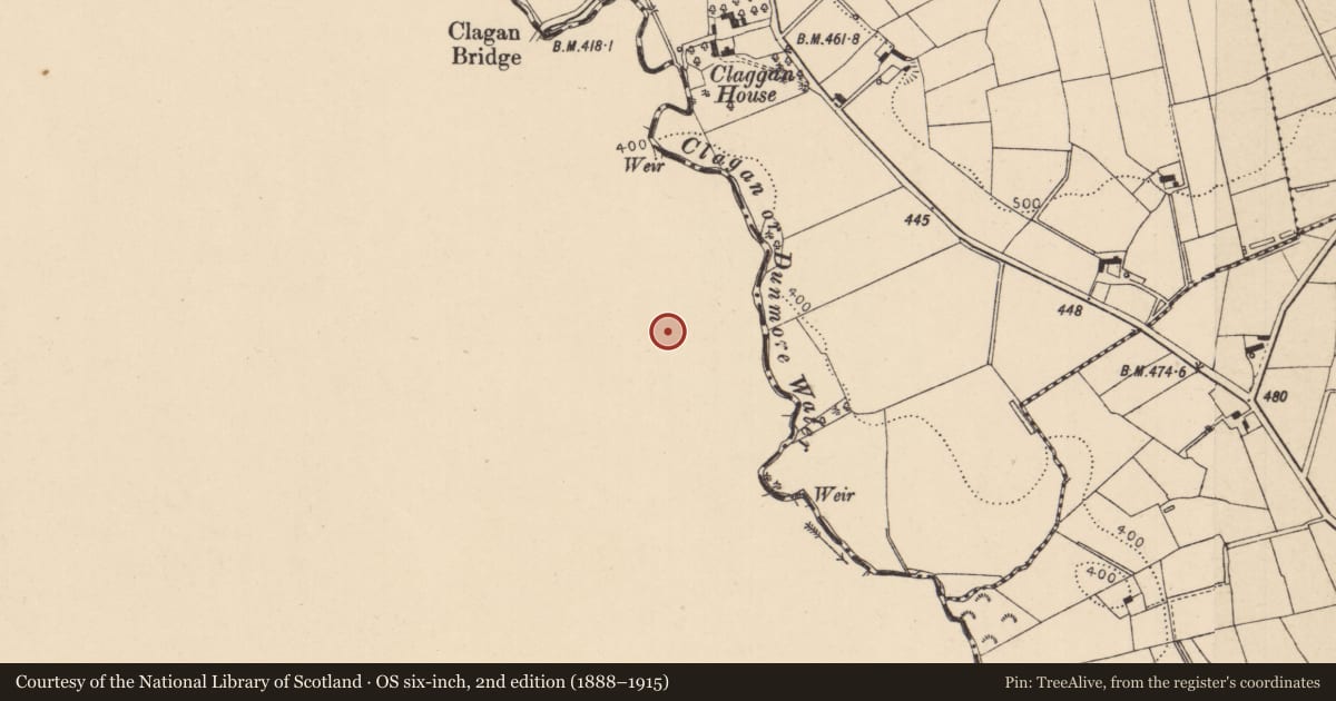 Ordnance Survey six-inch map, 2nd edition (1888–1915) covering the location of Dunmore, Ballynagilly, Mid Ulster, with a pin at the register's coordinates