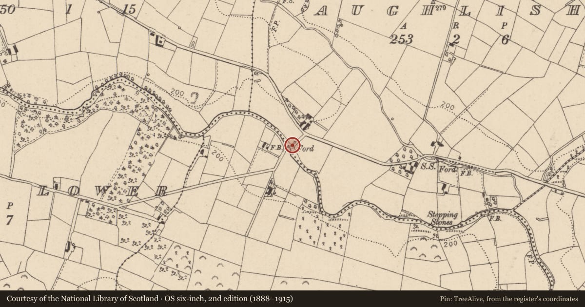 Ordnance Survey six-inch map, 2nd edition (1888–1915) covering the location of Aughlish Bridge, Aughlish/Drumard, Mid Ulster, with a pin at the register's coordinates