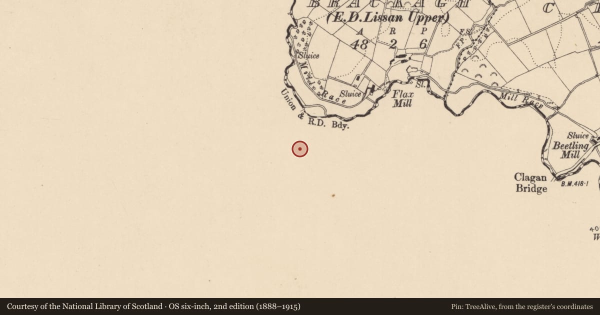 Ordnance Survey six-inch map, 2nd edition (1888–1915) covering the location of Telephone Kiosk 120 Lough Fea Road, Cookstown, BT80 9QL, Mid Ulster, with a pin at the register's coordinates