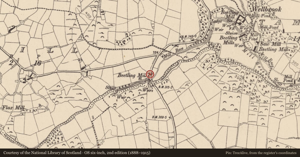Ordnance Survey six-inch map, 2nd edition (1888–1915) covering the location of Wellbrook Beetling Mill, Corkhill, Mid Ulster, with a pin at the register's coordinates