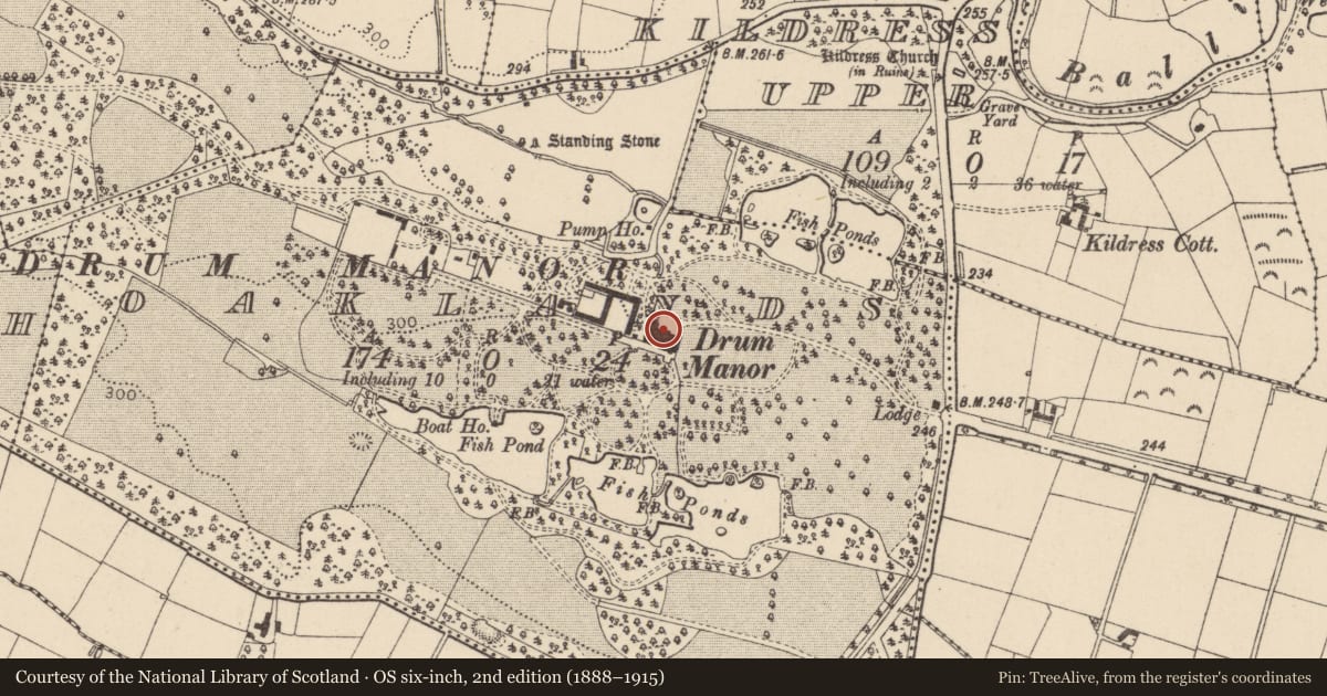 Ordnance Survey six-inch map, 2nd edition (1888–1915) covering the location of Drum Manor (remains), Drum Manor Forest Park, Drum Road, Cookstown, Co Tyrone, Mid Ulster, with a pin at the register's coordinates