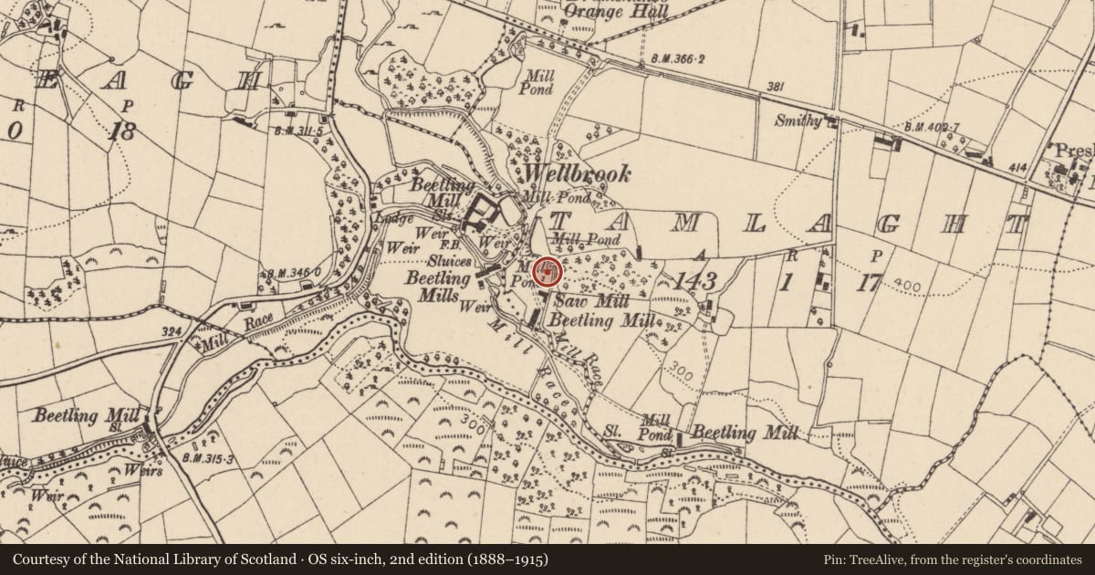 Ordnance Survey six-inch map, 2nd edition (1888–1915) covering the location of Former Mill Building, Tamnaskeany, Mid Ulster, with a pin at the register's coordinates