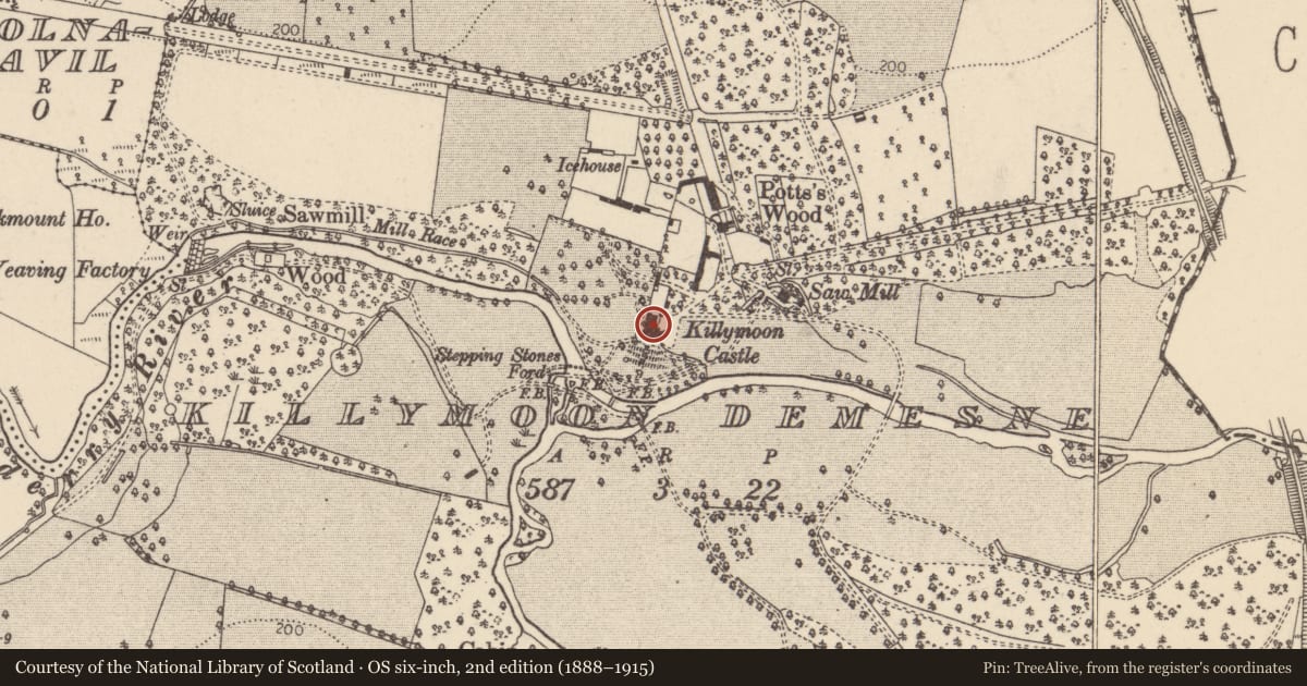 Ordnance Survey six-inch map, 2nd edition (1888–1915) covering the location of Killymoon Castle, Killymoon Demesne, Mid Ulster, with a pin at the register's coordinates