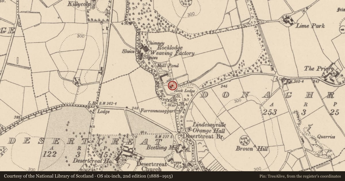 Ordnance Survey six-inch map, 2nd edition (1888–1915) covering the location of Rock Lodge, Donaghrisk, Mid Ulster, with a pin at the register's coordinates