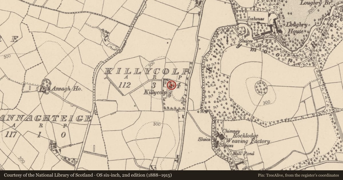 Ordnance Survey six-inch map, 2nd edition (1888–1915) covering the location of Killycolp House Farm, Mid Ulster, with a pin at the register's coordinates
