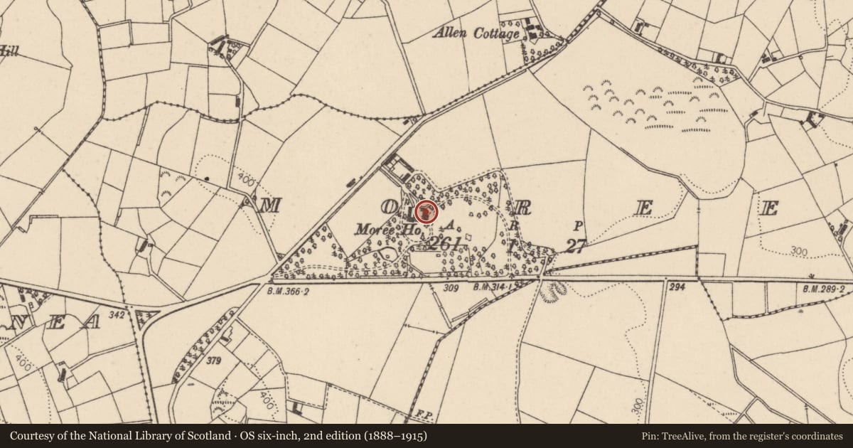 Ordnance Survey six-inch map, 2nd edition (1888–1915) covering the location of Moree House, Mid Ulster, with a pin at the register's coordinates