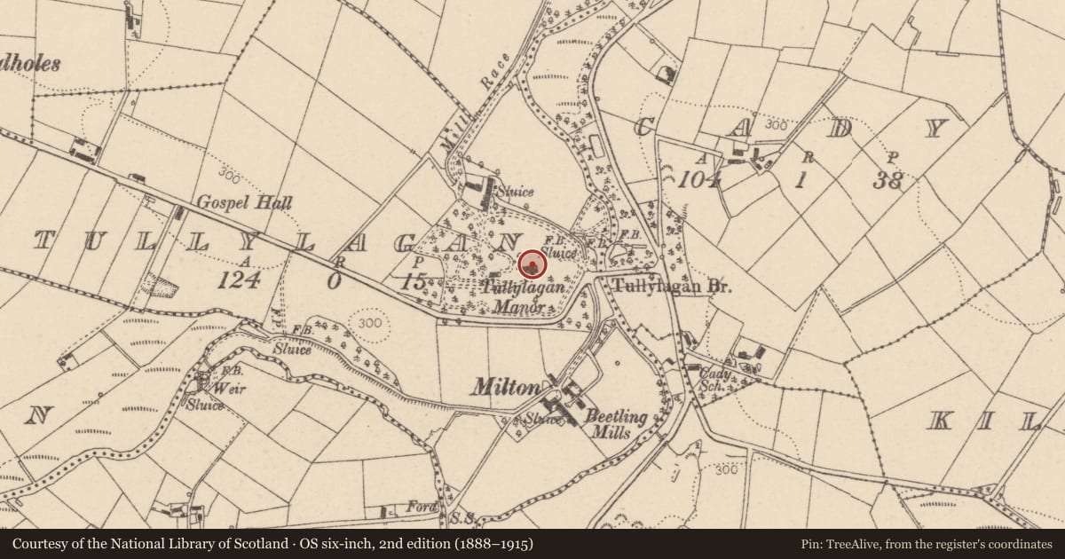 Ordnance Survey six-inch map, 2nd edition (1888–1915) covering the location of Tullylagan House, Mid Ulster, with a pin at the register's coordinates