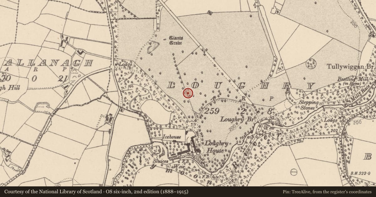 Ordnance Survey six-inch map, 2nd edition (1888–1915) covering the location of Poultry & Demonstration Building, Loughry, Mid Ulster, with a pin at the register's coordinates