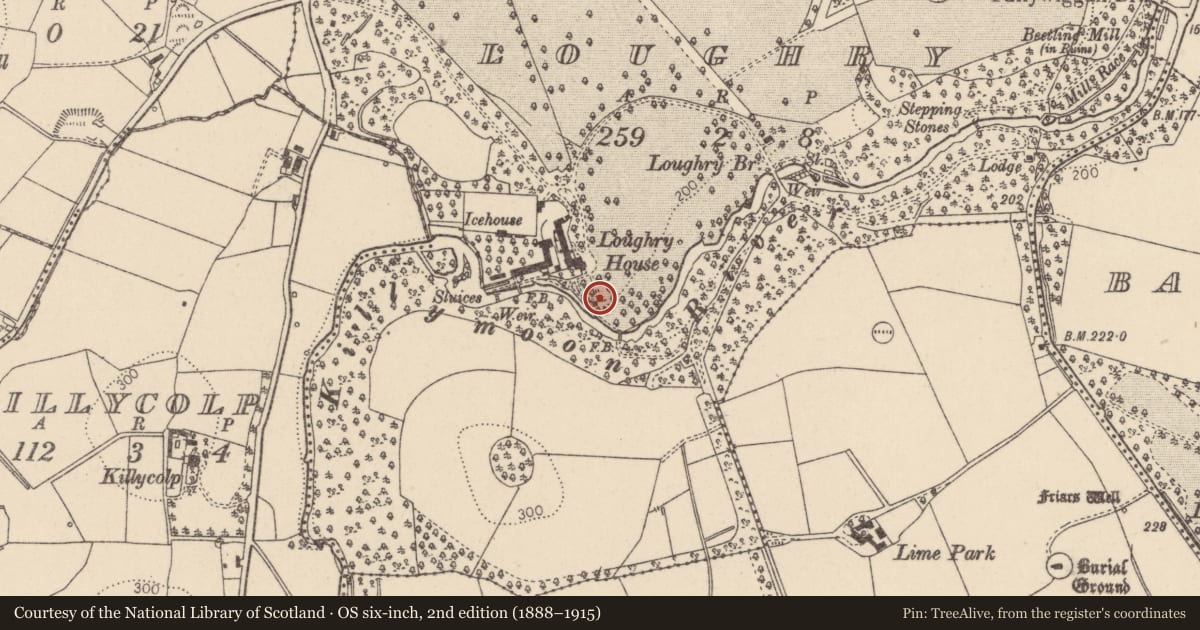 Ordnance Survey six-inch map, 2nd edition (1888–1915) covering the location of Swift's House, Loughry, Mid Ulster, with a pin at the register's coordinates