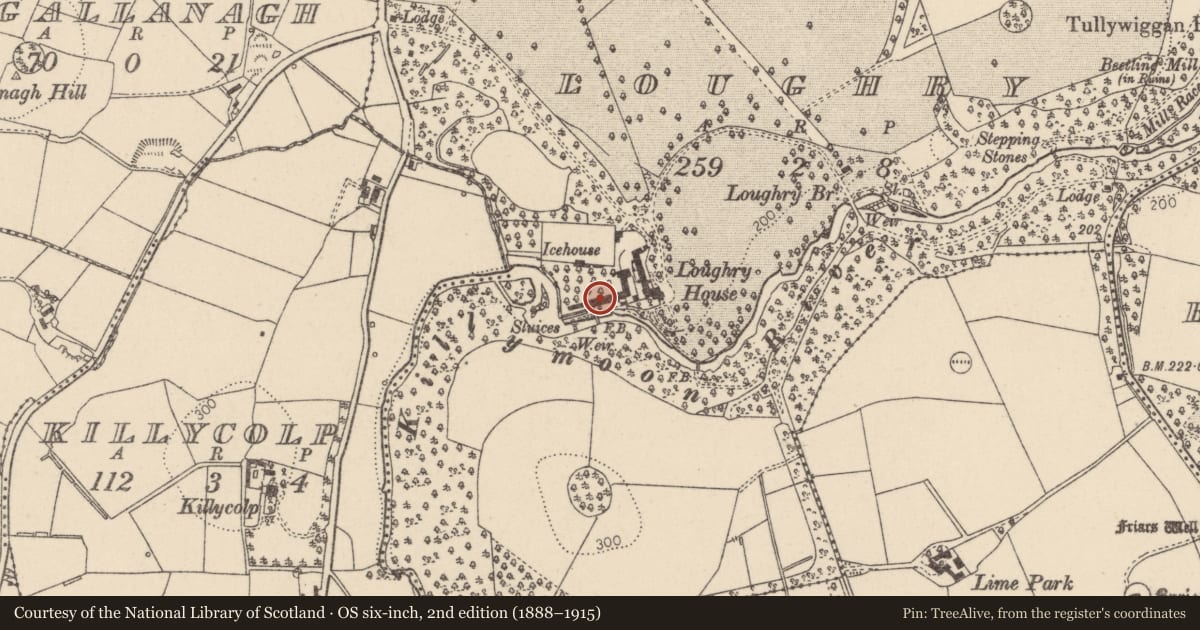 Ordnance Survey six-inch map, 2nd edition (1888–1915) covering the location of Loughry Mill group of buildings, Loughry Agricultural College, Cookstown, BT 80 8AD, Ballygroogan, Mid Ulster, with a pin at the register's coordinates