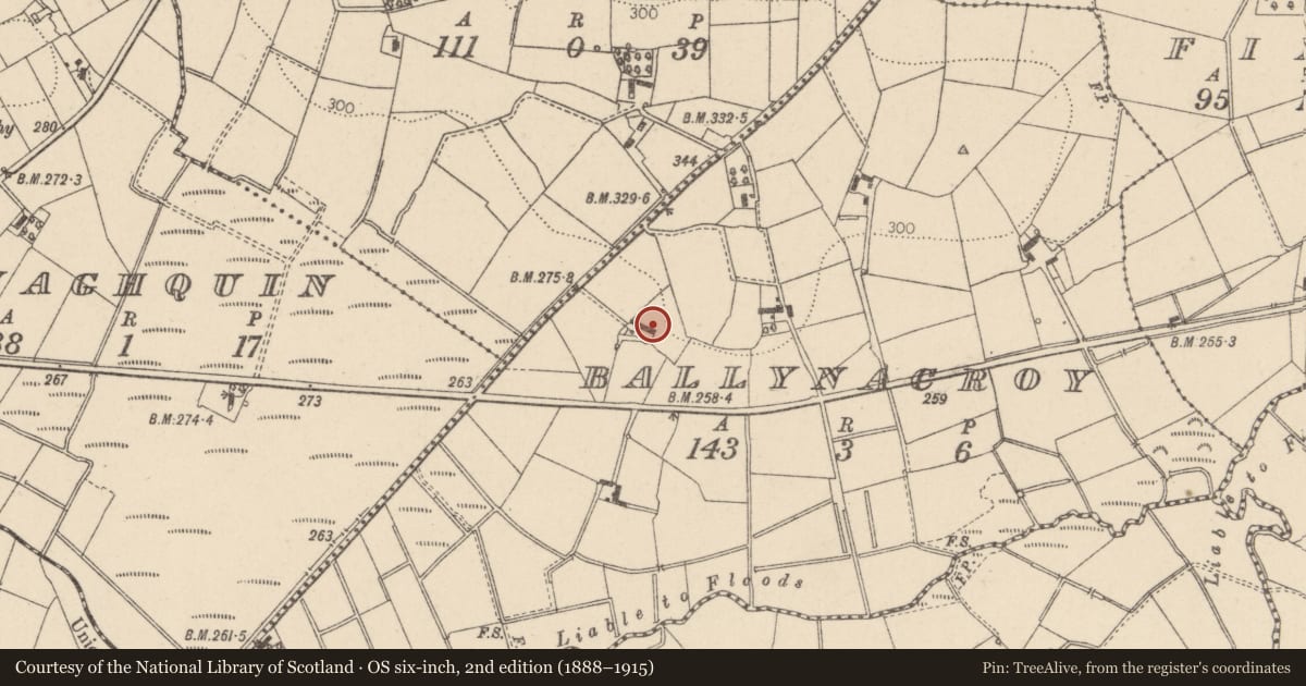 Ordnance Survey six-inch map, 2nd edition (1888–1915) covering the location of Pump behind house, Ballynacrory, Mid Ulster, with a pin at the register's coordinates