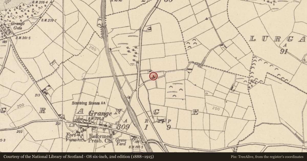 Ordnance Survey six-inch map, 2nd edition (1888–1915) covering the location of 32 Lower Grange Road, Cookstown, BT80 8RZ, Mid Ulster, with a pin at the register's coordinates