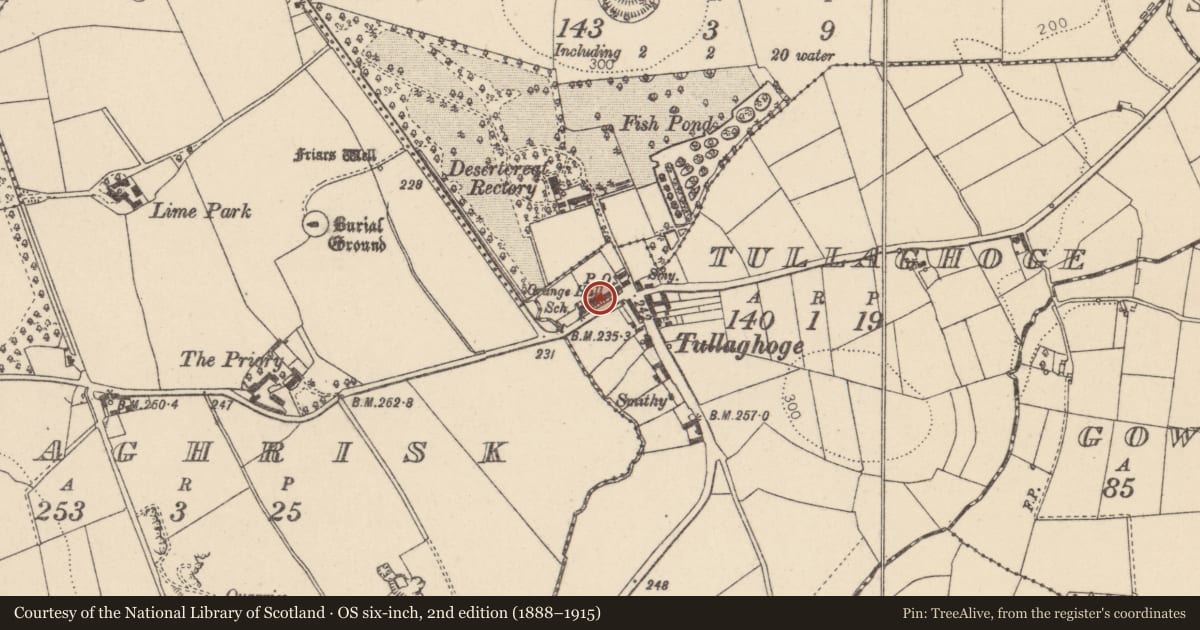 Ordnance Survey six-inch map, 2nd edition (1888–1915) covering the location of 8 Main Street, Tullaghoge, Cookstown, BT80 8UA, Mid Ulster, with a pin at the register's coordinates