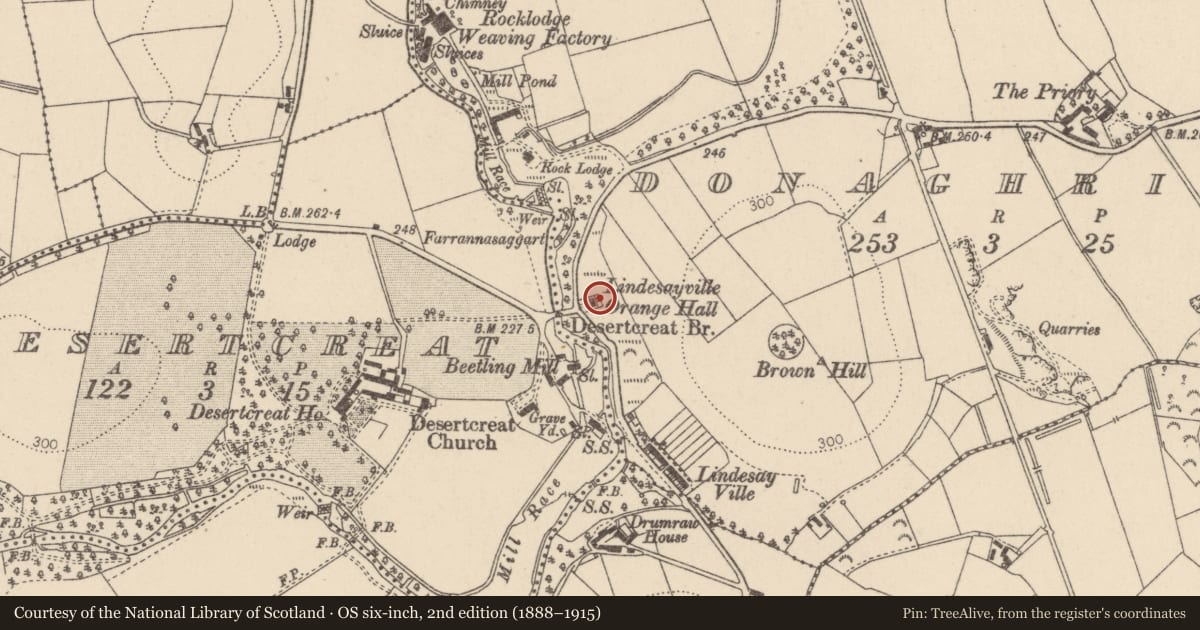 Ordnance Survey six-inch map, 2nd edition (1888–1915) covering the location of Orange Hall, Donaghrisk, Mid Ulster, with a pin at the register's coordinates