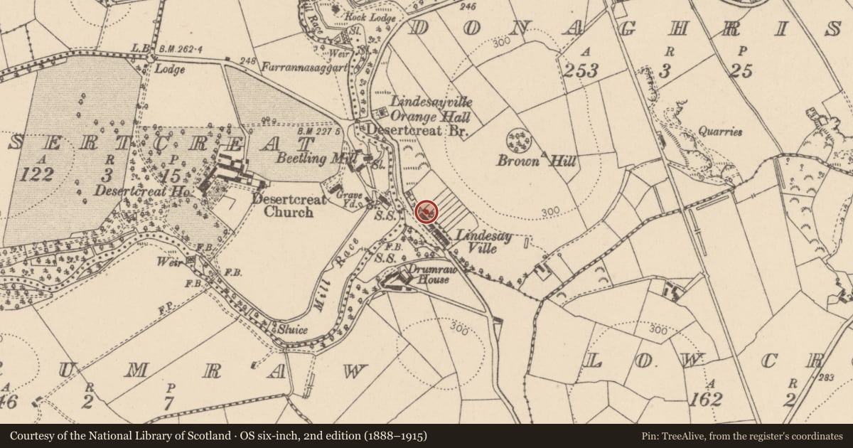 Ordnance Survey six-inch map, 2nd edition (1888–1915) covering the location of 48 Lindesayville Road, Donaghrisk, Mid Ulster, with a pin at the register's coordinates