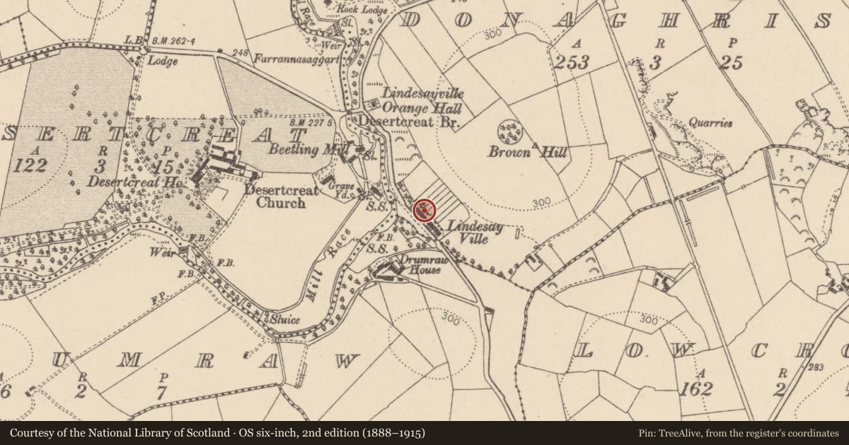 Ordnance Survey six-inch map, 2nd edition (1888–1915) covering the location of 50-54 Lindesayville Road, Donaghrisk, Mid Ulster, with a pin at the register's coordinates