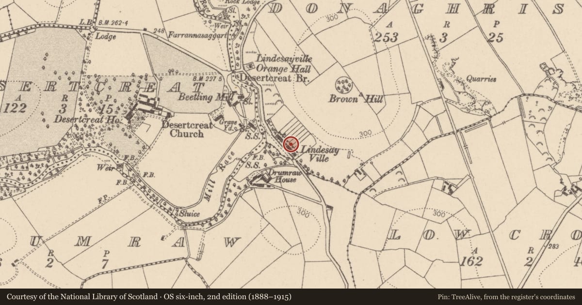 Ordnance Survey six-inch map, 2nd edition (1888–1915) covering the location of 56 Lindesayville Road, Donaghrisk, Mid Ulster, with a pin at the register's coordinates